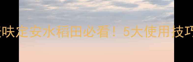 图片 最全指南安道麦呋定安水稻田必看！5大使用技巧+常见问题解答