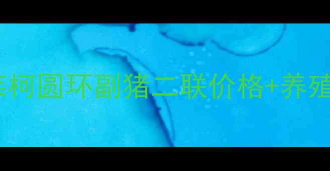 图片 最新报价普莱柯圆环副猪二联价格+养殖技术指南✅2