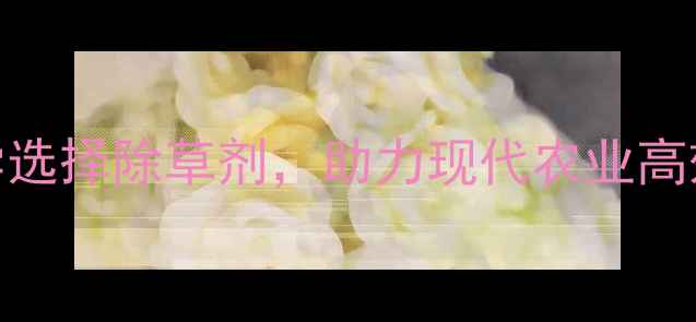 图片 最新指南江苏除草剂有限公司：科学选择除草剂，助力现代农业高效种植——从产品特性到使用技巧全