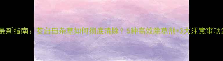 图片 最新指南：茭白田杂草如何彻底清除？5种高效除草剂+3大注意事项2