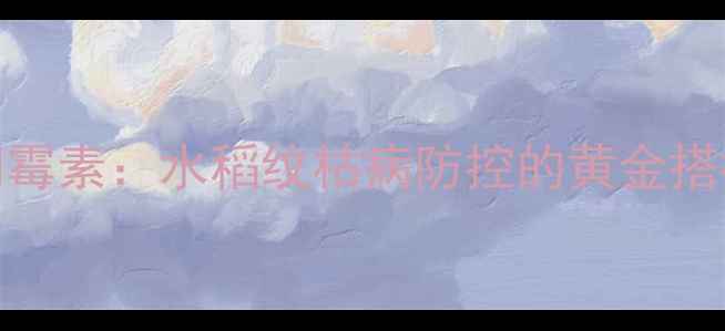图片 最新浙江钱江井冈霉素：水稻纹枯病防控的黄金搭档与科学使用指南