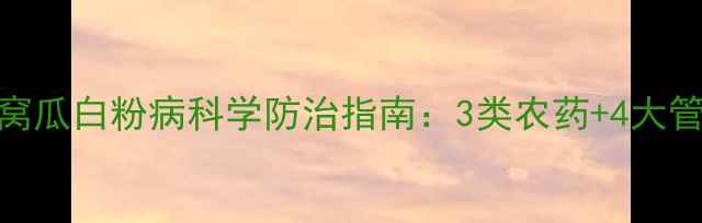 图片 最新版！窝瓜白粉病科学防治指南：3类农药+4大管理方案全