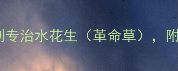 图片 最新！3款除草剂专治水花生（革命草），附安全使用全攻略