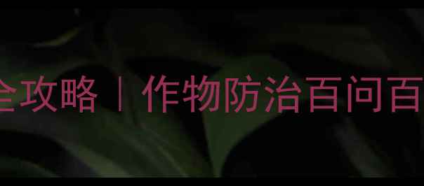 图片 最新！唑虫酰胺农药全攻略｜作物防治百问百答+种植避坑指南🌱🔥