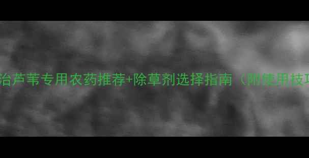 图片 最新！根治芦苇专用农药推荐+除草剂选择指南（附使用技巧）🌱💪1