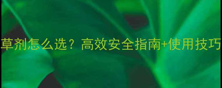 图片 最新！葫芦苗后除草剂怎么选？高效安全指南+使用技巧，助你稳赚秋收！