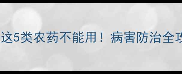 图片 朝天椒种植避坑指南：这5类农药不能用！病害防治全攻略（附安全用药表）2