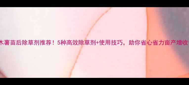 图片 木薯苗后除草剂推荐！5种高效除草剂+使用技巧，助你省心省力亩产增收1