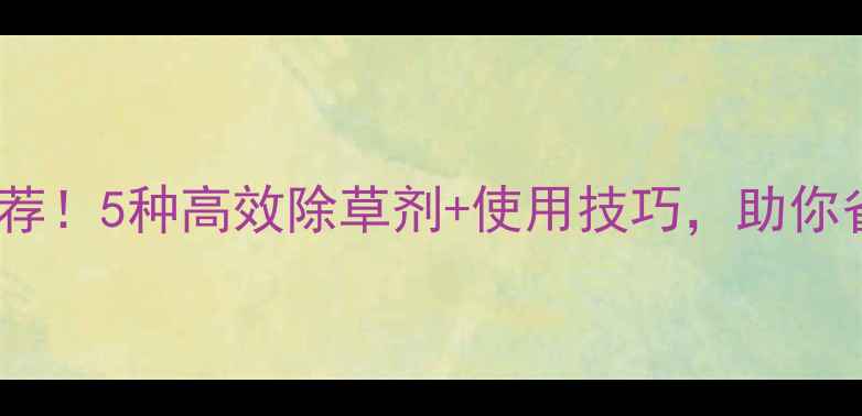 图片 木薯苗后除草剂推荐！5种高效除草剂+使用技巧，助你省心省力亩产增收2