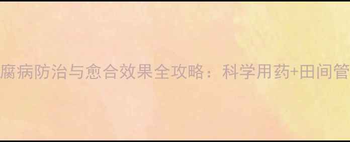 图片 权威水稻细腐病防治与愈合效果全攻略：科学用药+田间管理双管齐下