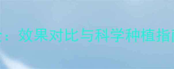 图片 李宗成农药使用全：效果对比与科学种植指南（附最新数据）