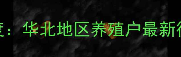 图片 杜洛克猪肉价格深度：华北地区养殖户最新行情与市场趋势报告