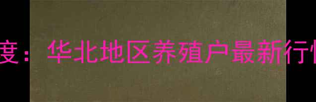 图片 杜洛克猪肉价格深度：华北地区养殖户最新行情与市场趋势报告2