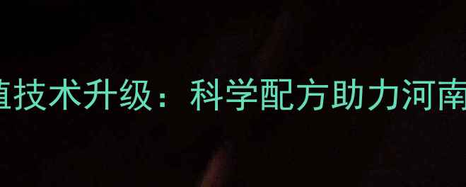 图片 杨翔饲料公司养殖技术升级：科学配方助力河南养殖户降本增效2