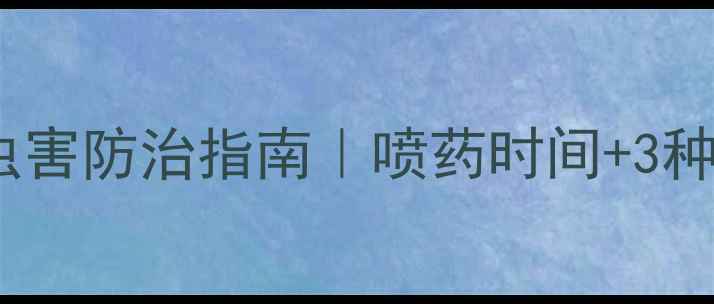 图片 枇杷树秋季病虫害防治指南｜喷药时间+3种高效农药推荐2