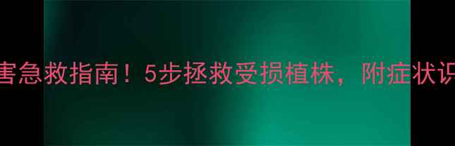 图片 果树除草剂药害急救指南！5步拯救受损植株，附症状识别与补救方案