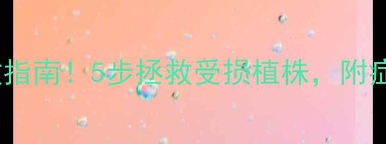 图片 果树除草剂药害急救指南！5步拯救受损植株，附症状识别与补救方案2