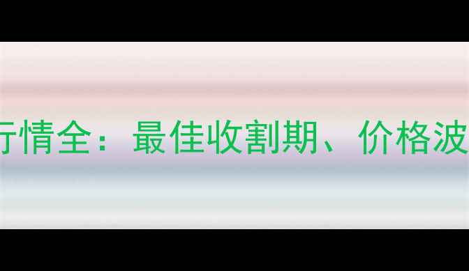 图片 枣庄玉米收购行情全：最佳收割期、价格波动与市场趋势1