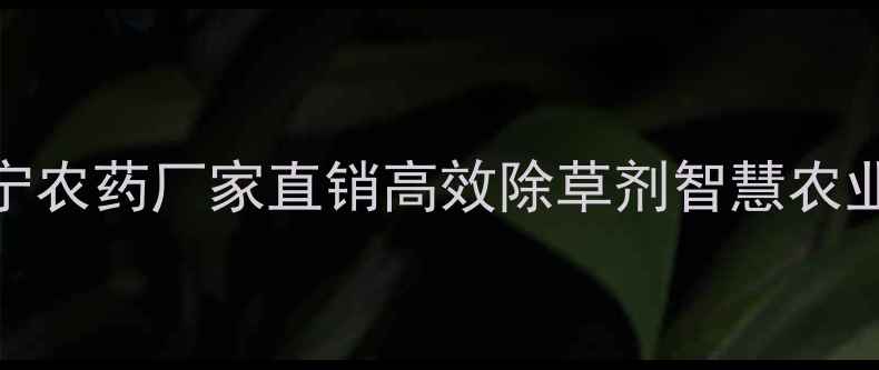 图片 核心草安宁农药厂家直销高效除草剂智慧农业除草方案