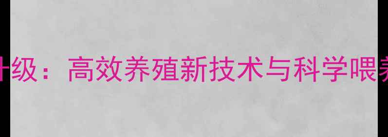 图片 正大集团鸭饲料配方升级：高效养殖新技术与科学喂养指南（附养殖案例）