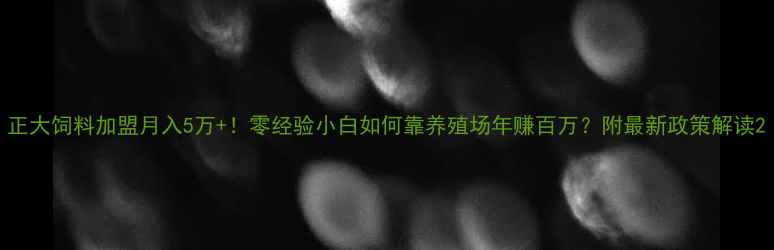 图片 正大饲料加盟月入5万+！零经验小白如何靠养殖场年赚百万？附最新政策解读2