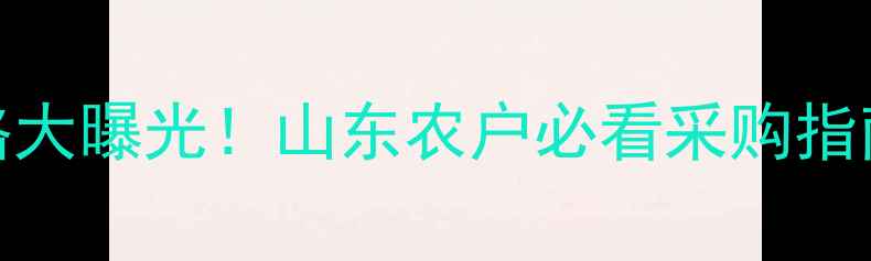 图片 毒死蜱乳油250升价格大曝光！山东农户必看采购指南，附防癌增效技巧1