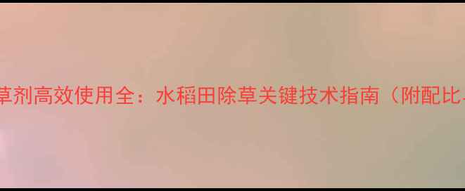 图片 氰氟精噁唑除草剂高效使用全：水稻田除草关键技术指南（附配比与注意事项）1
