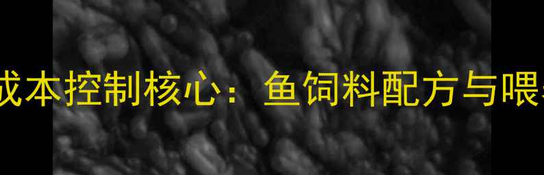 图片 水产养殖成本控制核心：鱼饲料配方与喂养技术全2