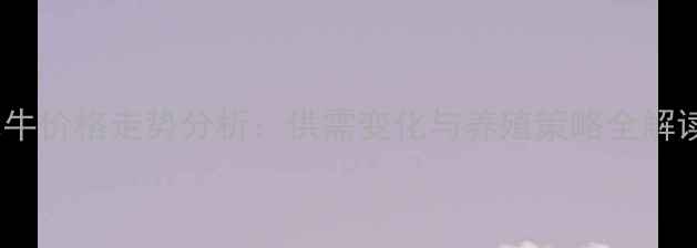 图片 水牛价格走势分析：供需变化与养殖策略全解读2