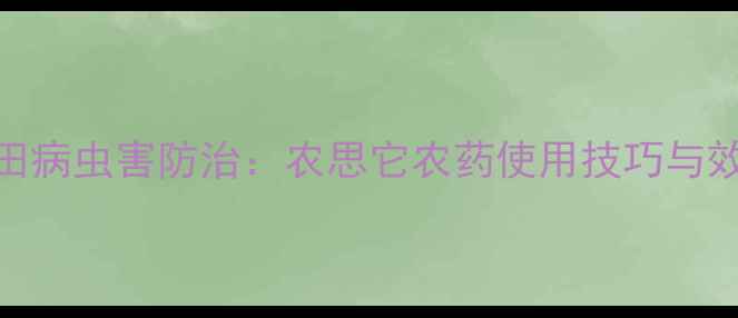 图片 水稻水田病虫害防治：农思它农药使用技巧与效果分析