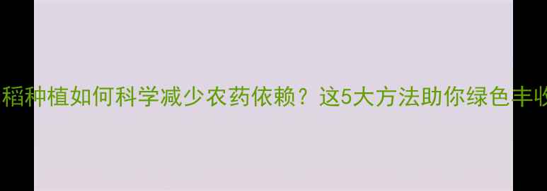 图片 水稻种植如何科学减少农药依赖？这5大方法助你绿色丰收2