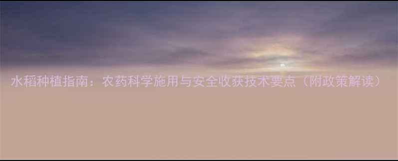 图片 水稻种植指南：农药科学施用与安全收获技术要点（附政策解读）