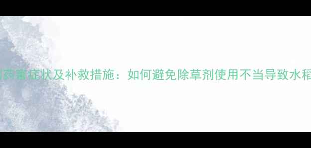 图片 水稻除草剂药害症状及补救措施：如何避免除草剂使用不当导致水稻枯黄死苗1