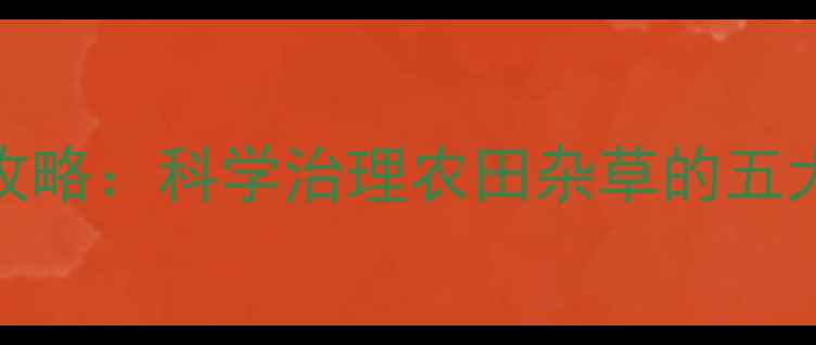 图片 水花生除草剂使用全攻略：科学治理农田杂草的五大关键步骤与注意事项