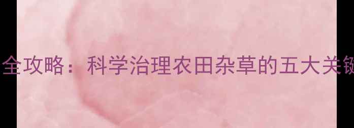 图片 水花生除草剂使用全攻略：科学治理农田杂草的五大关键步骤与注意事项1
