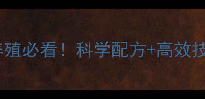 图片 江苏中饲料｜畜牧养殖必看！科学配方+高效技术，助农增收指南1