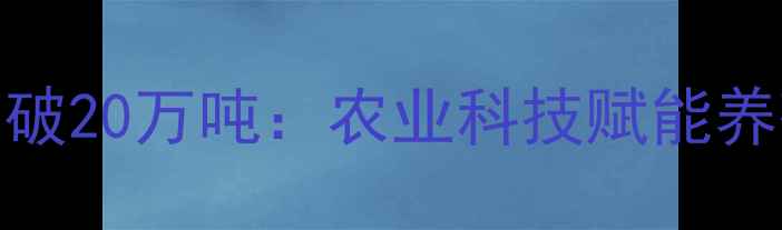 图片 江苏南通饲料公司年产量突破20万吨：农业科技赋能养殖业的创新实践与行业展望
