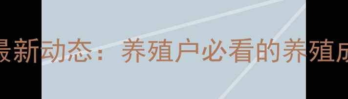 图片 江苏毛鸡价格行情最新动态：养殖户必看的养殖成本与市场趋势分析