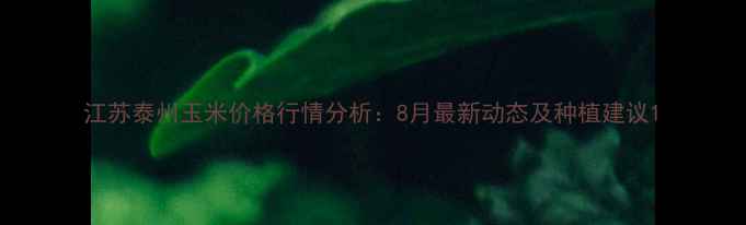 图片 江苏泰州玉米价格行情分析：8月最新动态及种植建议1