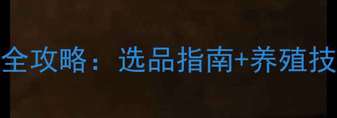 图片 江苏龙虾饲料代理全攻略：选品指南+养殖技术+市场趋势深度1