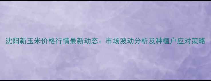 图片 沈阳新玉米价格行情最新动态：市场波动分析及种植户应对策略