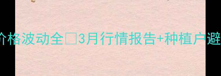 图片 沧州玉米价格波动全🌾3月行情报告+种植户避坑指南💰1