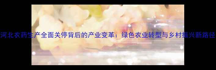 图片 河北农药生产全面关停背后的产业变革：绿色农业转型与乡村振兴新路径