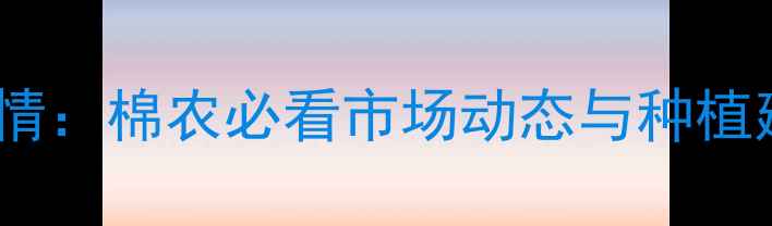 图片 河北棉花价格今日行情：棉农必看市场动态与种植建议（附实时报价）1