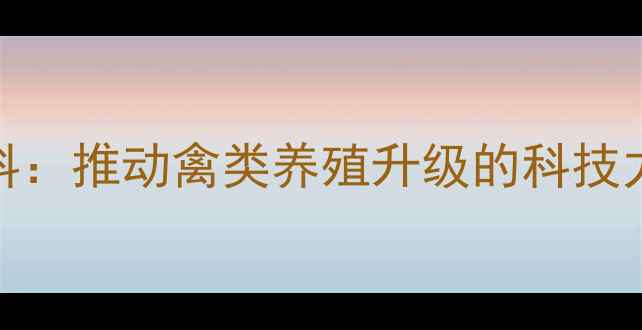 图片 河北正大鸡饲料：推动禽类养殖升级的科技力量与产业实践