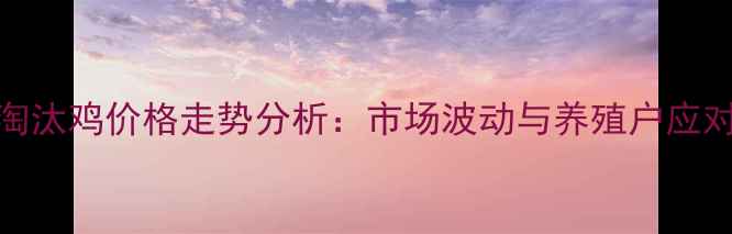 图片 河北淘汰鸡价格走势分析：市场波动与养殖户应对策略