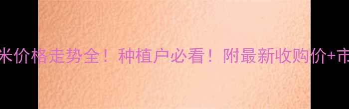 图片 河北玉米价格走势全！种植户必看！附最新收购价+市场分析