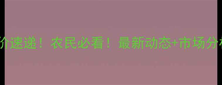 图片 河北迁安玉米收购价速递！农民必看！最新动态+市场分析（附种植建议）1