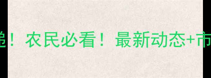图片 河北迁安玉米收购价速递！农民必看！最新动态+市场分析（附种植建议）2