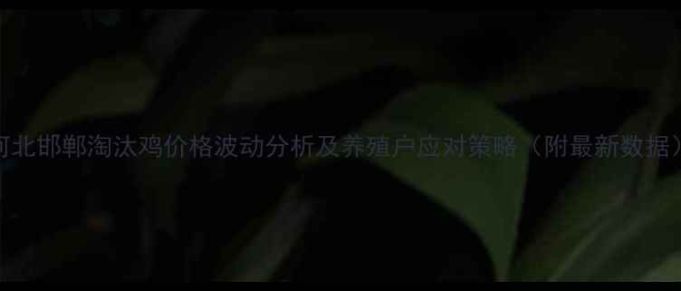 图片 河北邯郸淘汰鸡价格波动分析及养殖户应对策略（附最新数据）